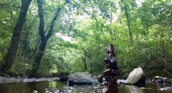 The Grieving Place